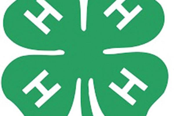 Marshall–Putnam 4–H to offer holiday centerpiece workshop Dec. 20 in Henry