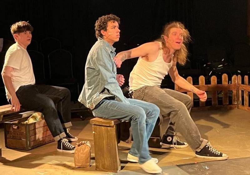 Independent Players in Elgin stages "The Outsiders" through July 7, 2024.