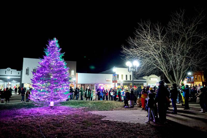 The Spring Valley Christmas tree is lit as part of the festivities Saturday, Nov. 30, 2024, at the Mini Park.