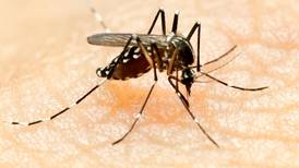 Mosquitoes in Sterling have West Nile virus, health department says