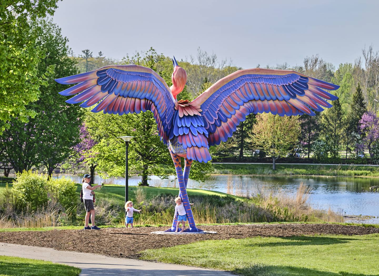 Cadence, a sandhill crane, is on display at Morton Arboretum as part of the "Vivid Creatures" exhibit.