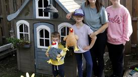 Harvard advances backyard chickens ordinance by 6-2 vote, plans public hearing
