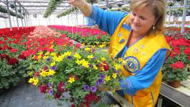 Still blooming after 4 decades: Batavia Lions Club hosts 43rd Annual Plant Sale 