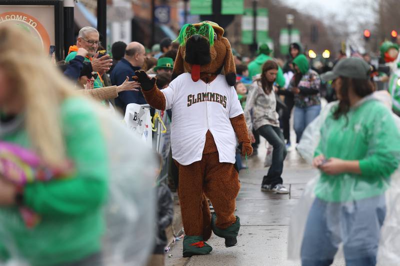 Spikes, the Joliet Slammers mascot, high fives the crowd at the annual Plainfield Hometown Irish Parade on Sunday, March 15, 2026 in Plainfield.