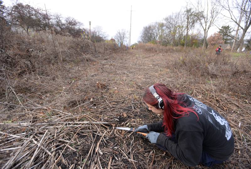 Dylan Achterhof participates in the clean up day of the Keith A. Olson Prairie Saturday, Nov. 16, 2024.