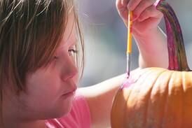 5 things to do in the Illinois Valley: Fall activities, arts, car show among the activities