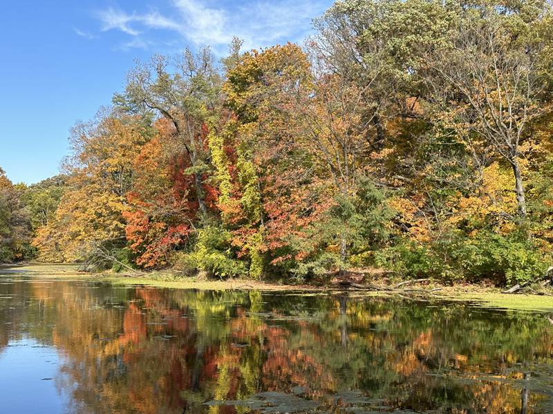 Fall colors appear over Matthiessen Lake at Matthiessen State Park on Monday, Oct. 23, 2023.