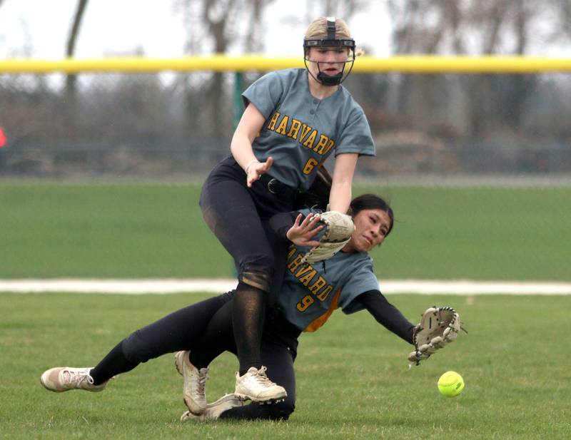 Harvard’s Alondra Uvaldo, bottom, and Manhatyn Brincks get tangled up as they pursue a fly ball in varsity softball at Marengo Thursday.