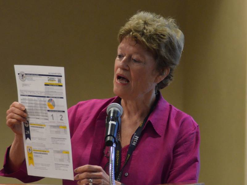 McHenry County Treasurer Donna Kurtz has announced the VIP Taxpayer Program, which will allow property owners to schedule electronic payments, get reminders of due dates and sign up to receive next year’s bill electronically. Taxpayers can still pay by electronic check without paying any processing fees as a VIP Taxpayer or as a one-time online payer.