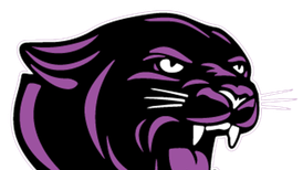 Seven McHenry County girls wrestlers advance to IHSA state semifinals