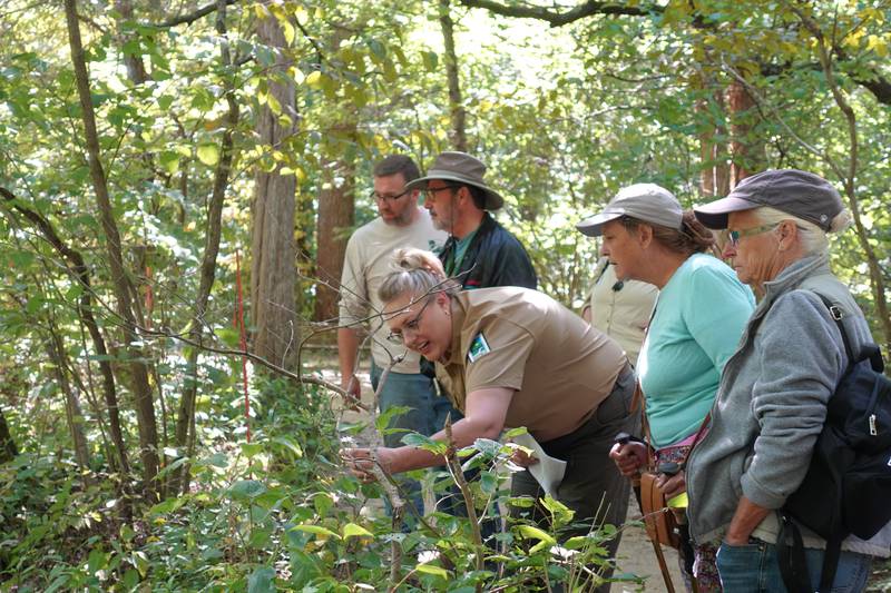 Lisa Sons, Natural Resources Coordinator for Starved Rock and Matthiessen state parks, leads Illinois Extension Master Naturalist volunteers on a wildflower hike during a field trip at Starved Rock.
