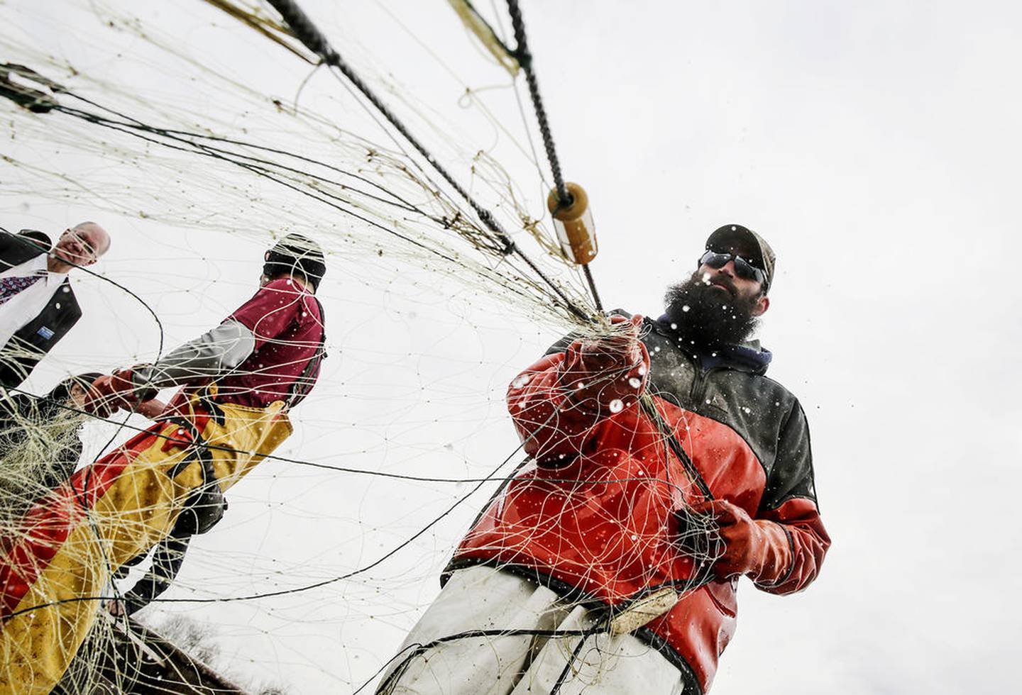 A commercial fisherman drags in a fishing Monday, March 26, 2018, while searching for Asian Carp at Rock Run Rookery in Joliet, Ill.