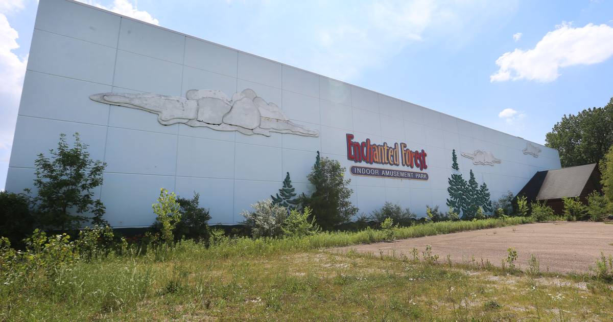 Listen: Illinois Valley’s 5 most-read stories this week, Nov. 2-8