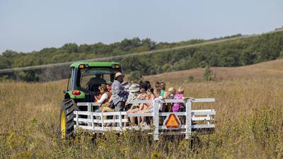 Bison, birds and prairie adventures await at Nachusa Grasslands Fall Festival 