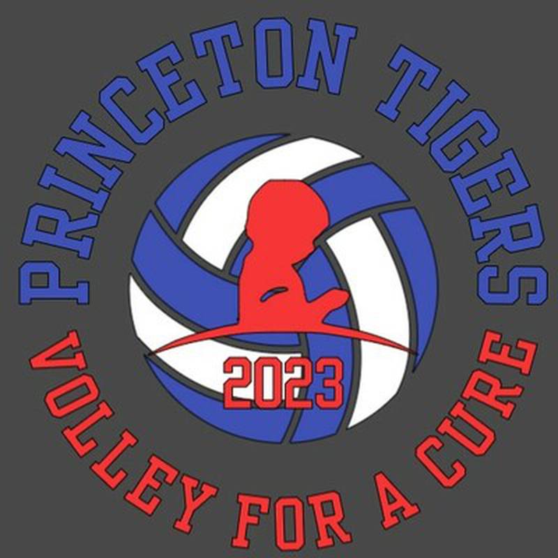 Volley for a Cure