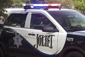 Joliet man accused of punching, kicking pit bull