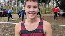 Cross country: 9 runners from Joliet area earn all-state honors at state finals