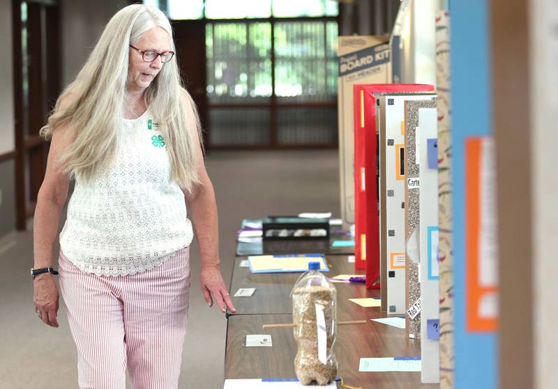 Kathy Dombek, program coordinator with the U of I Extension, checks out some of the many projects on display during the 4-H General Project Show Thursday, July 14, 2022, at the DeKalb County Farm Bureau in Sycamore.