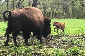 Leaders mark huge expansion of national wildlife refuge straddling Illinois, Wisconsin
