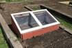 Down the Garden Path: Guest columnist series –Cold frame gardening gives an early start to the season