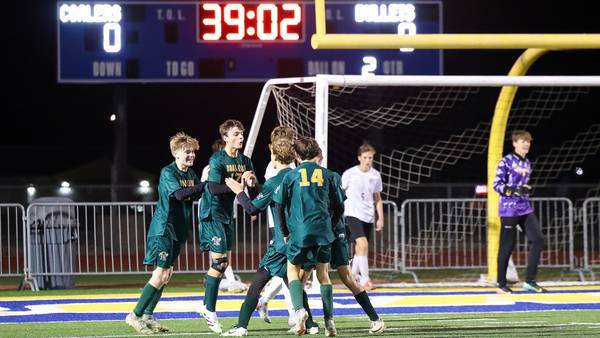 Photos: Coal City vs. Williamsville, Class 1A Super-Sectional championship