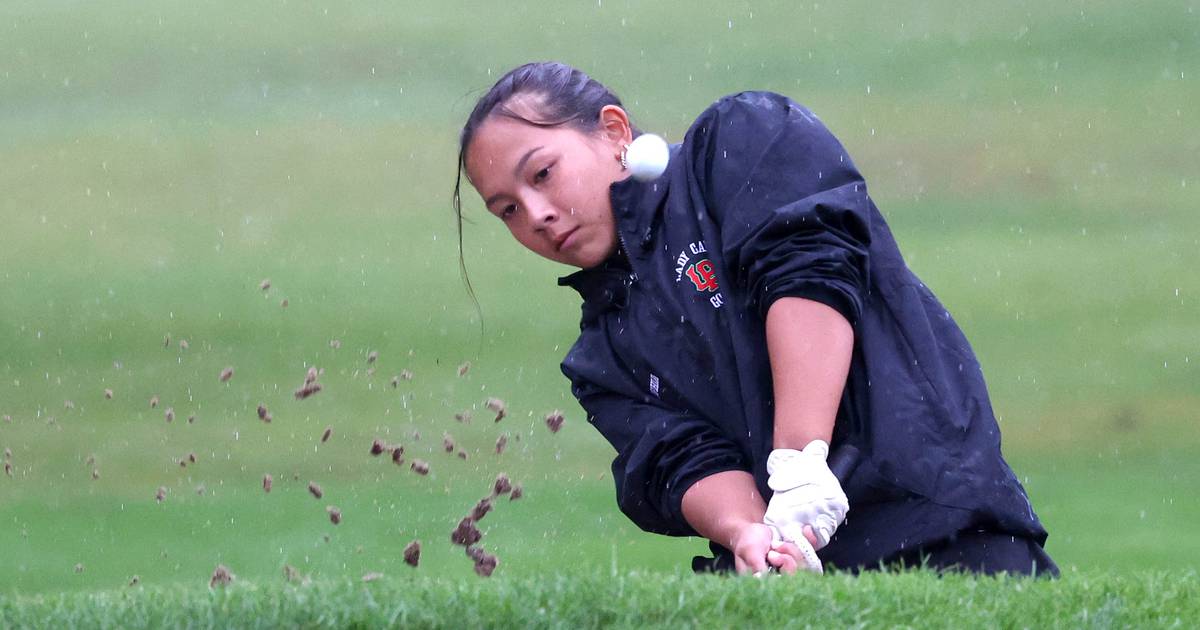 2024 NewsTribune Girls Golf All-Area Team