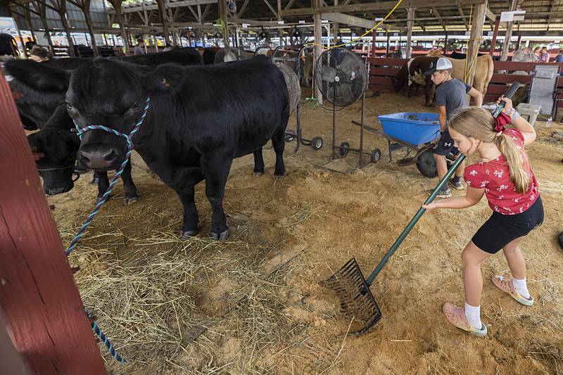 Drew, 10, and Mattie Melendrez, 7, of Dixon clean a stall Sunday, July 28, 2024, on the last day of the Lee County Fair.