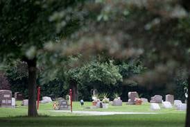 Union Cemetery in Ohio to begin weed and mole control efforts