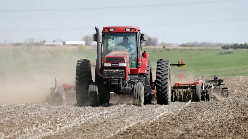 Farmers expect less corn, more soybean acres