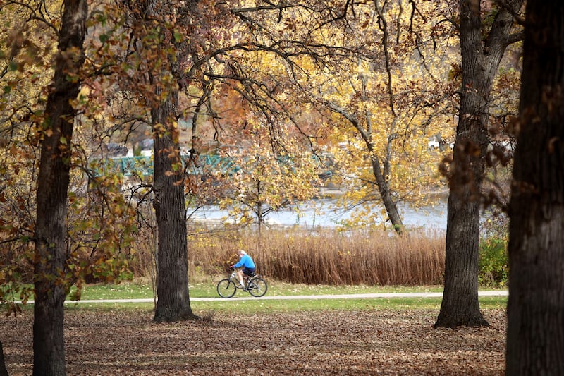 Fall colors at the Fabyan Forest Presever in Geneva on Monday, Oct. 28, 2024.
