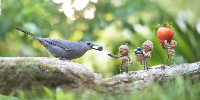 One of David M. Bird's "Becorn" artworks on display at the Hidden Oaks Nature Center in Bolingbrook through June 29, 2025.