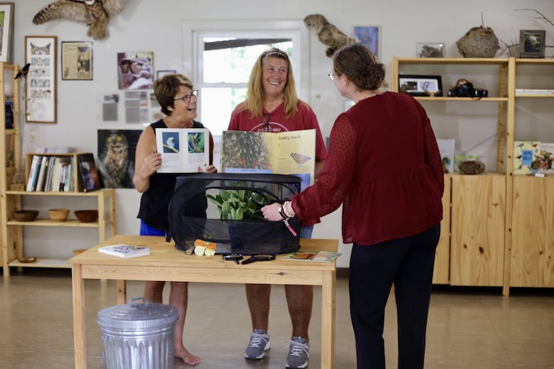 Families are invited to “Magical Monarchs: Nature Fun with Little Ones!” on September 5 at the Lowell Park Nature Center, featuring a live display of ten Monarch caterpillars.