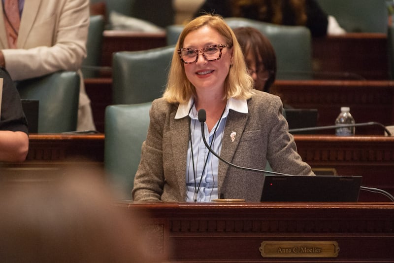 State Rep. Anna Moeller, D-Elgin, speaks on her Medicaid bill on the House floor on May 31, 2026.