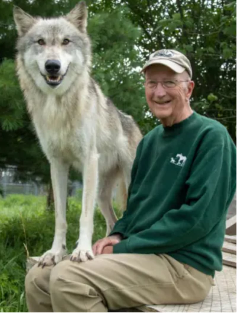 Seaver Tarulis Jr. of Yorkville passed away at 84. He served for ten years as a City Council member.