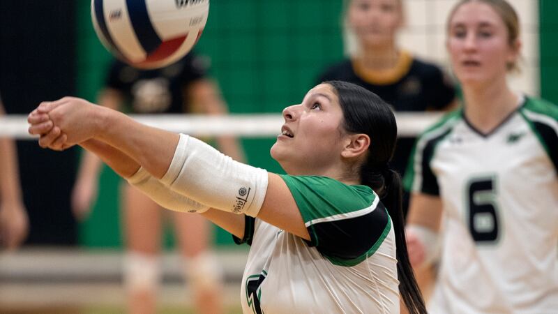 Photos: Rock Falls vs Riverdale Class 2A volleyball regional