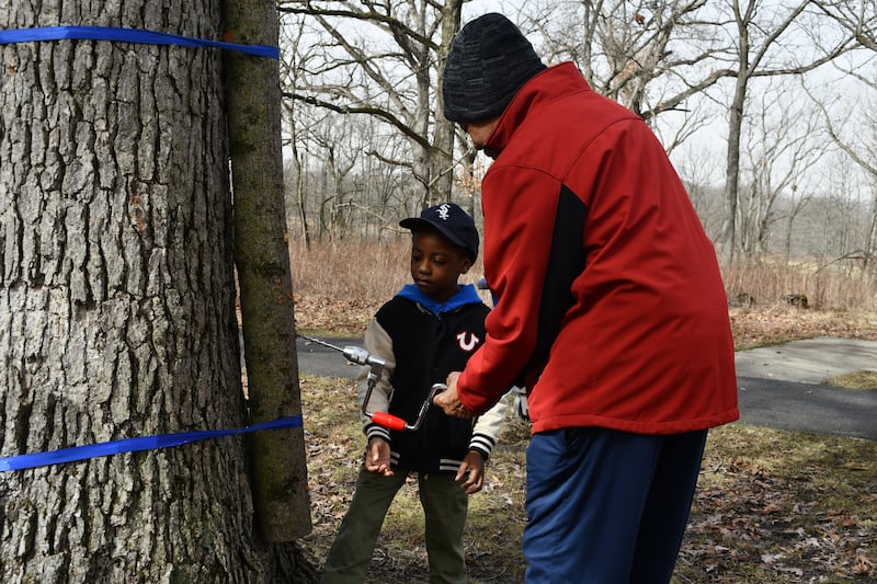 A Forest Preserve worker demonstrates how maple tree sap is tapped to make maple syrup at the 2025 Maple Syrup Magic event.