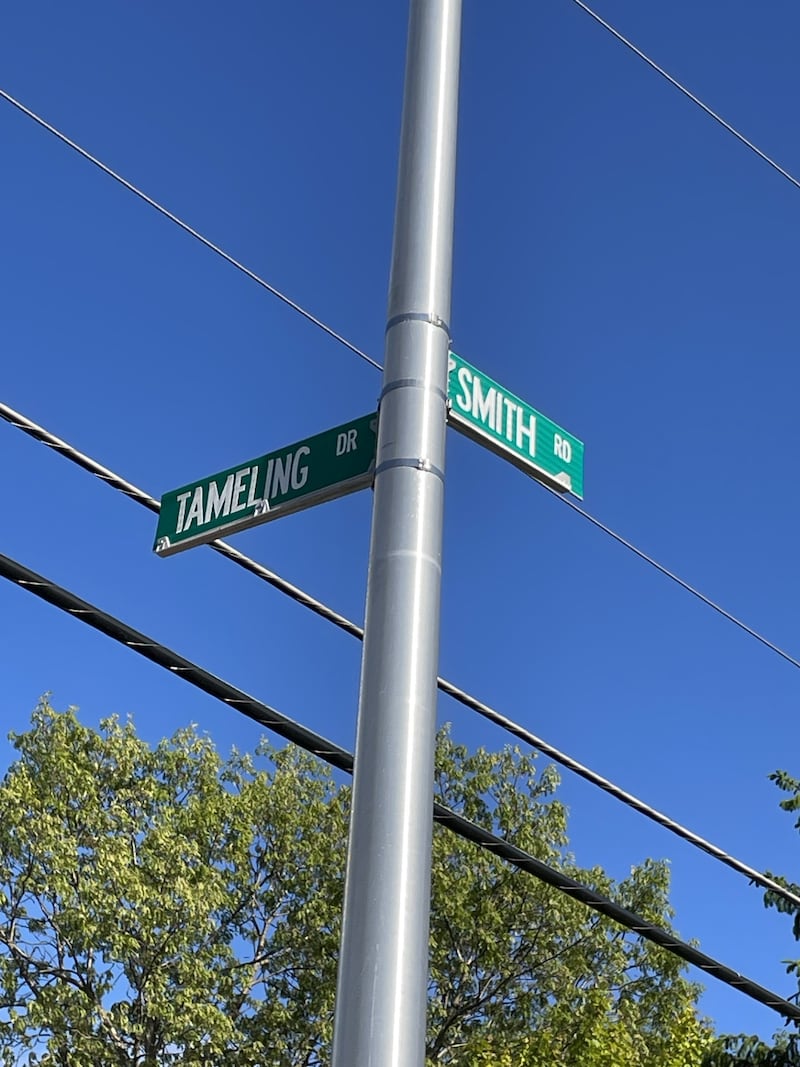 Residents who live in a subdivision at Tameling Drive and Smith Road are objecting to a new housing development that will be located off the north side of the neighborhood in Lockport. The City Council unanimously approved the development on May 6, 2026.