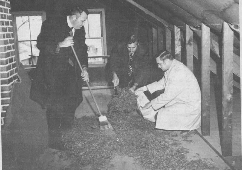 1970: This photo ran under a huge and bold headline “$10,000 MARIJUANA CACHE SEIZED NEAR PLANO”. Shown gathering marijuana in a farmhouse attic are Kendall County Sheriff Thomas Usry, Chief Deputy Victor Frantz and Kendall County States Attorney Dallas Ingemunson.