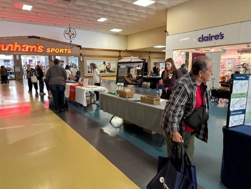 Visitors check out booths at the 2024 Senior Showcase at Northland Mall in Sterling.