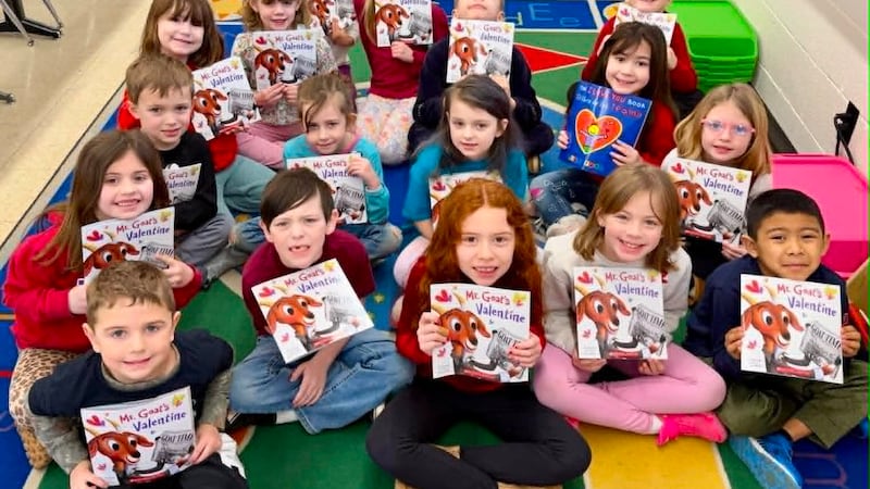 Mt. Morris Community Library Foundation giving away books, raising funds at 2 July events