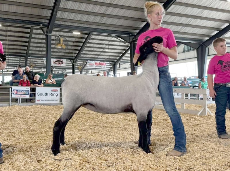 Karlie Schultz competed in the Sheep Show at the Section 3 FFA Summer Fair.