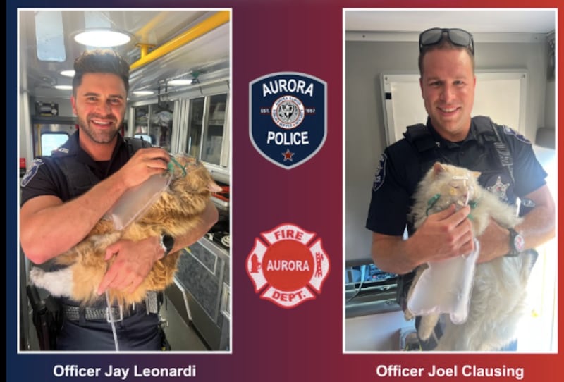 Two cats were provided oxygen by first responders following a house fire in Aurora on Sept. 15, 2025.