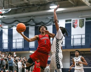 The Herald-News area boys basketball playoff preview