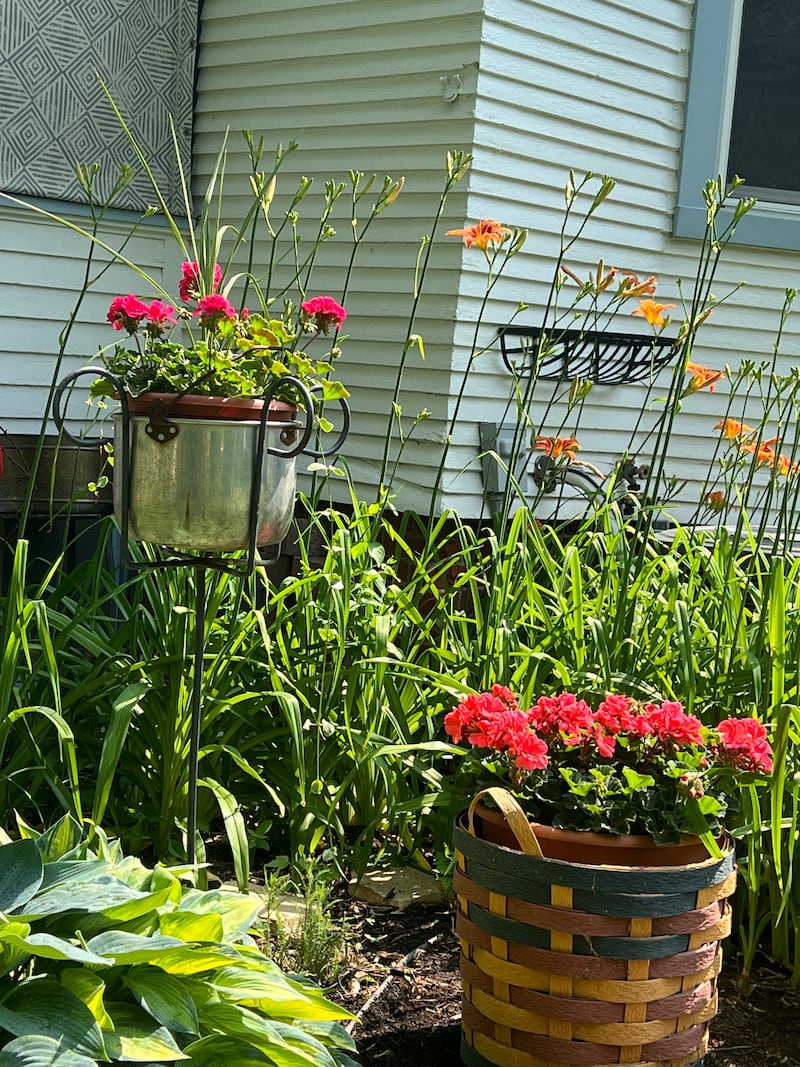 The Cleven family garden