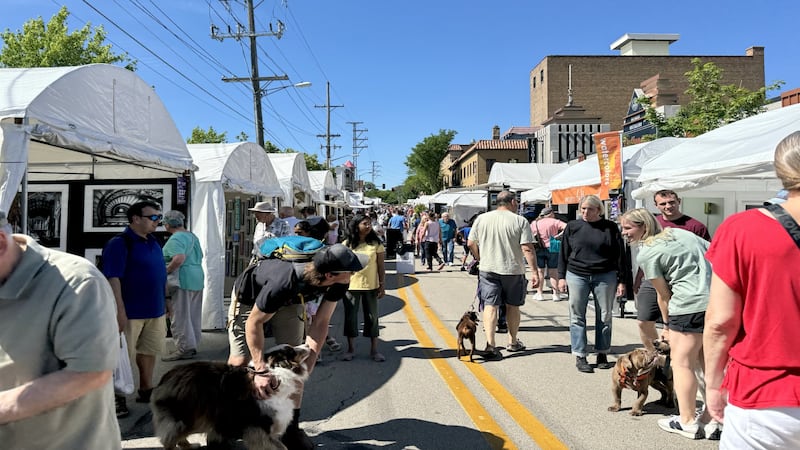 Volunteers needed for St. Charles Fine Art Show