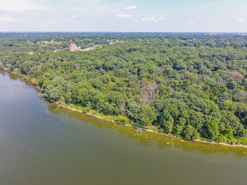 Norris Woods Nature Preserve was selected as the representative old-growth forest for Kane County and the fifth OGFN site in Illinois.