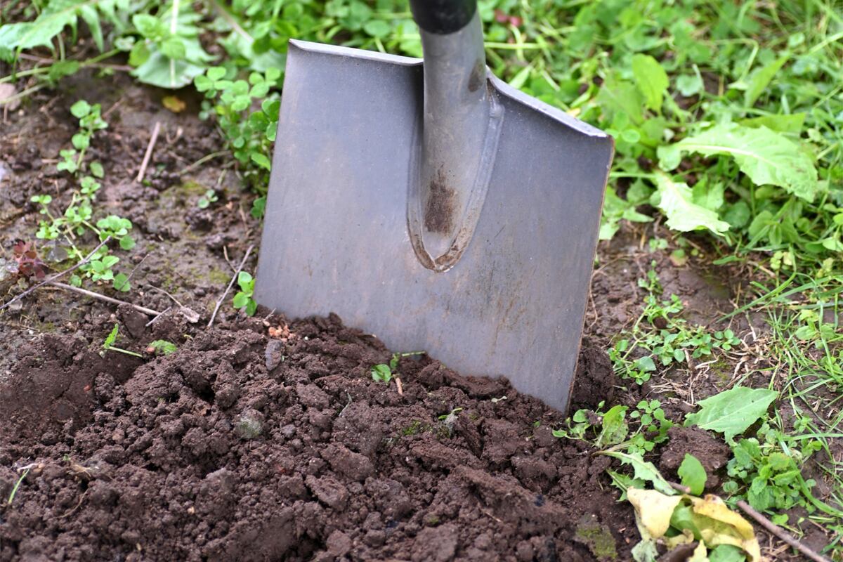 Illinois Extension offers square foot gardening workshop May 12