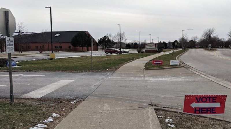 About 8,000 people cast ballots in Kendall County