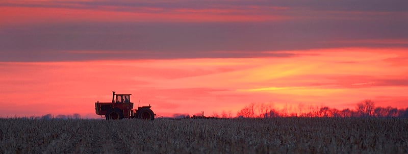 A farmer cultivates his field in the central Illinois town of Farmingdale.