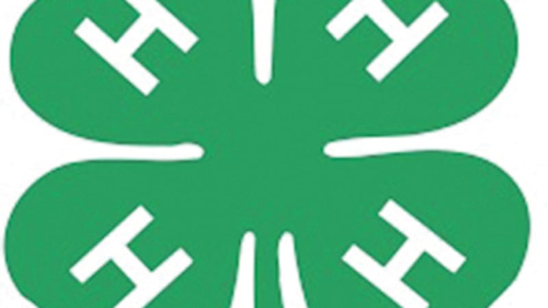 Paint with nature with 4-H Nature Paint Box workshops for youths in Carroll, Lee, Whiteside counties
